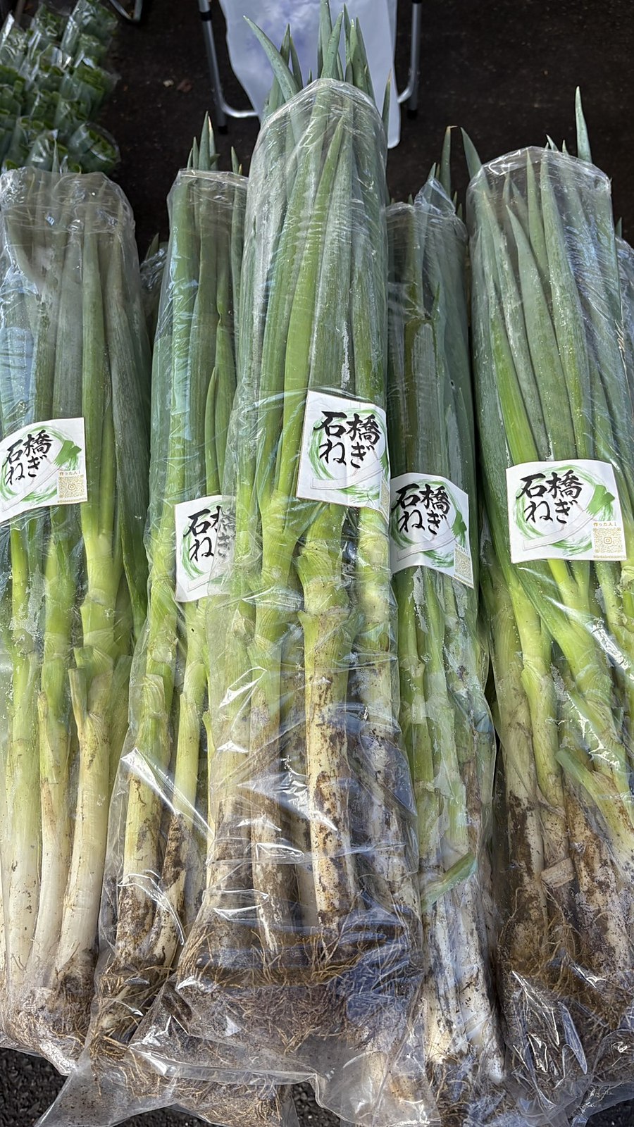 「石橋ねぎ」のブランド袋詰め。直売所・スーパーで販売