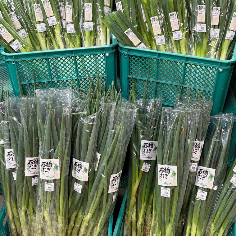 収穫した野菜